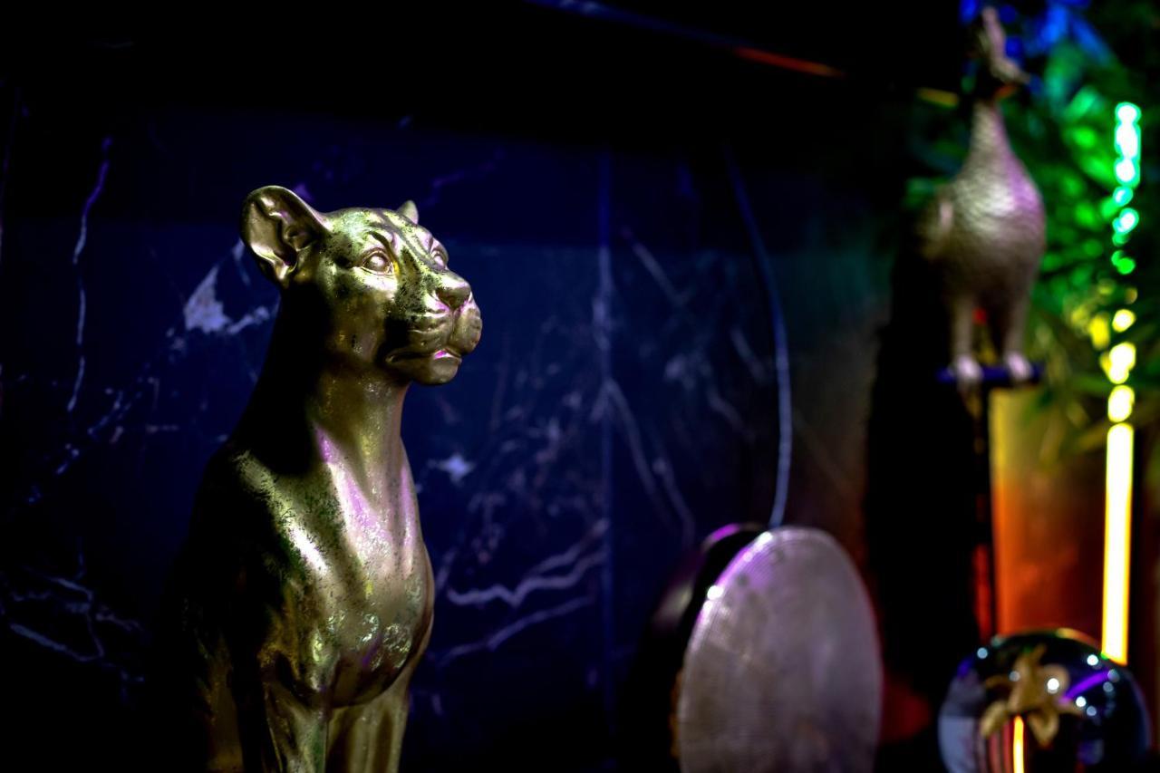 Love Room “La Nuit De Reve” Centre Historique بيربينيو المظهر الخارجي الصورة